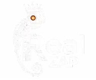 Real Zap